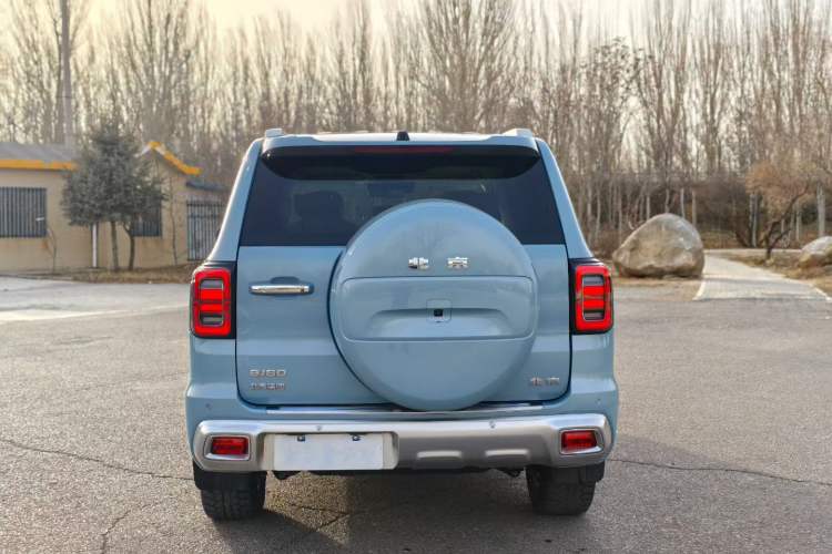 Used BAIC Off-Road BJ60 2022 2.0T May Day Edition Five Seats Exterior 4