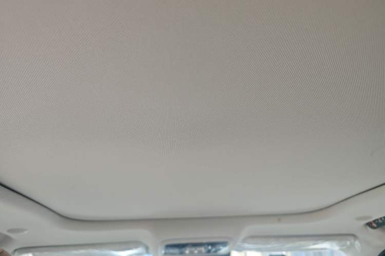Used BAIC Off-Road BJ60 2022 2.0T Version 11 Seven Seats Headliner