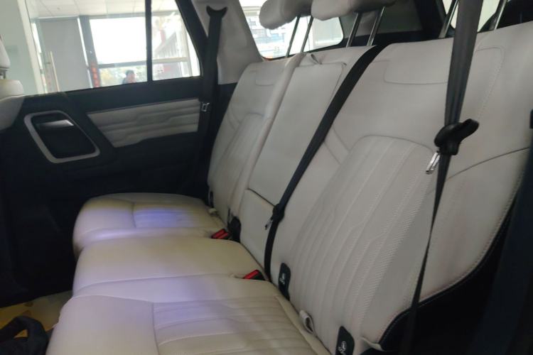Used BAIC Off-Road BJ60 2022 2.0T Weekend Edition Five-Seater Left Rear Seat