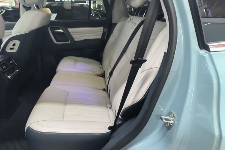 Used BAIC Off-Road BJ60 2022 2.0T Version 11 Five Seats Left Rear Seat