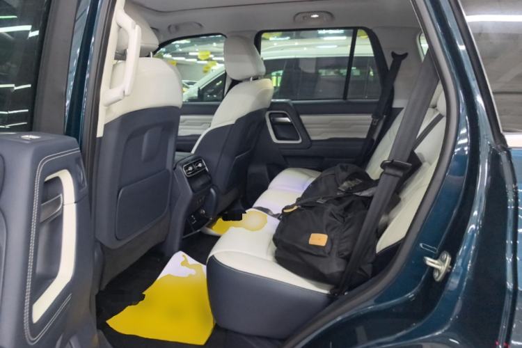 Used BAIC Off-Road BJ60 2022 2.0T Weekend Edition Five-Seater Left Rear Seat