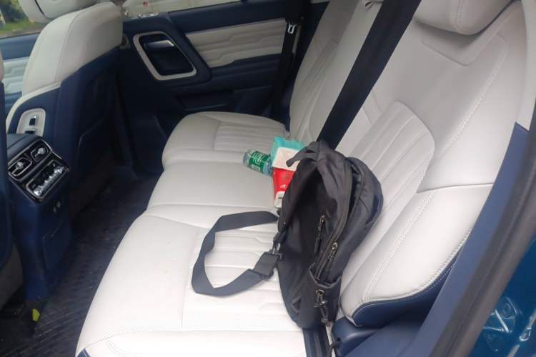 Used BAIC Off-Road BJ60 2022 2.0T Version 11 Five Seats Left Rear Seat