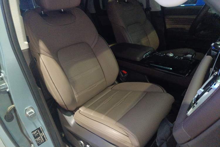 Used BAIC Off-Road BJ60 2022 2.0T Version 11 Five Seats Right Front Seat