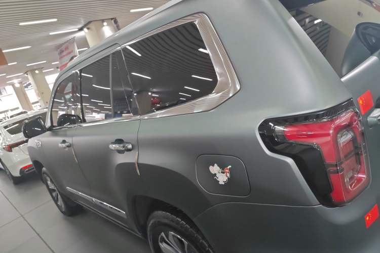 Used BAIC Off-Road BJ60 2022 2.0T May Day Edition Five Seats Left Side