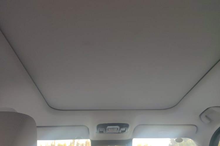 Used BAIC Off-Road BJ60 2022 2.0T May Day Edition Five Seats Headliner