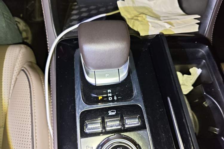 Used BAIC Off-Road BJ60 2022 2.0T Weekend Edition Five-Seater Gear Lever