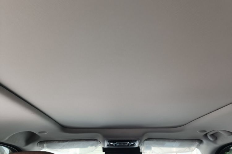 Used BAIC Off-Road BJ60 2022 2.0T Version 11 Five Seats Headliner