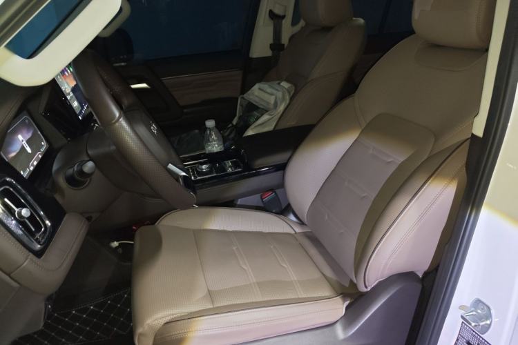 Used BAIC Off-Road BJ60 2022 2.0T Weekend Edition Five-Seater Left Front Seat