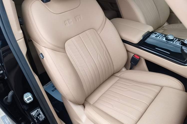 Used BAIC Off-Road BJ60 Leiting 2024 Magic Electric Drive Advanced Version 5 Seats Right Front Seat