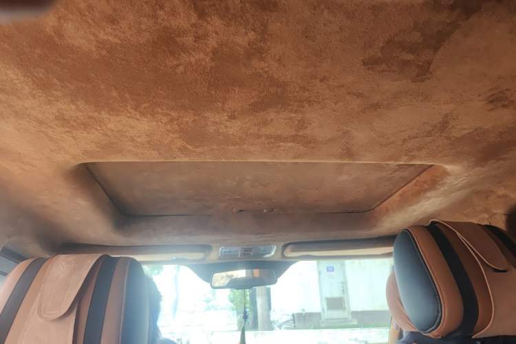 Used BAIC Off-Road BJ80  Headliner