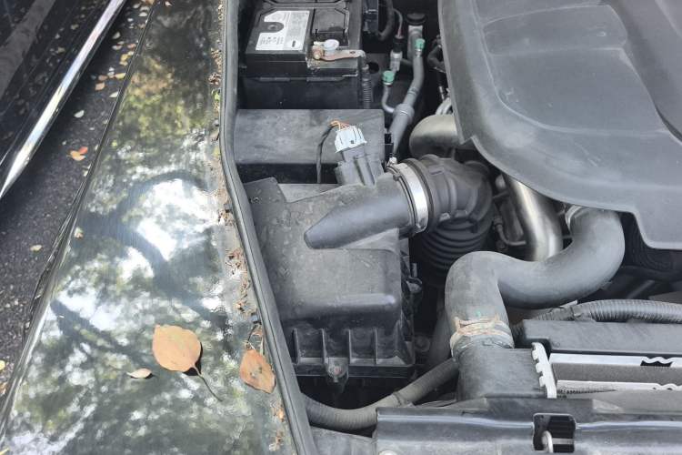 Used BAIC Off-Road BJ80 2020 3.0T Automatic Supreme Edition Engine Bay Right