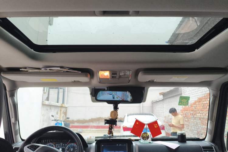 Used BAIC Off-Road BJ80 2020 3.0T Automatic Supreme Edition Headliner