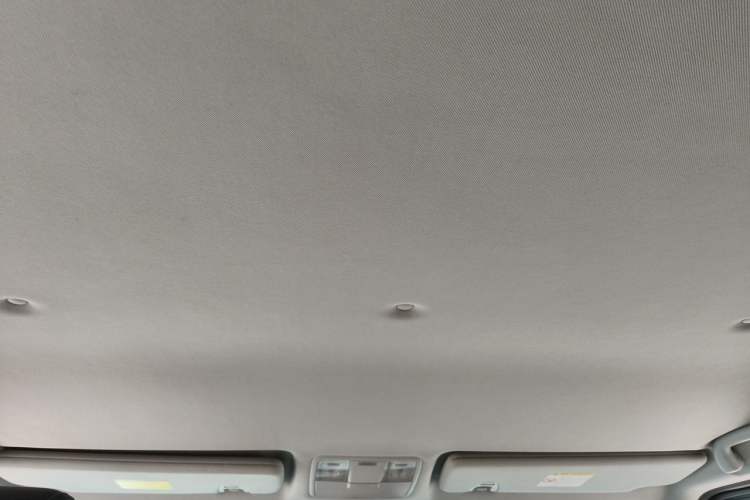 Used BAIC Off-Road BJ80 2020 3.0T Automatic Glory Flagship Edition Headliner