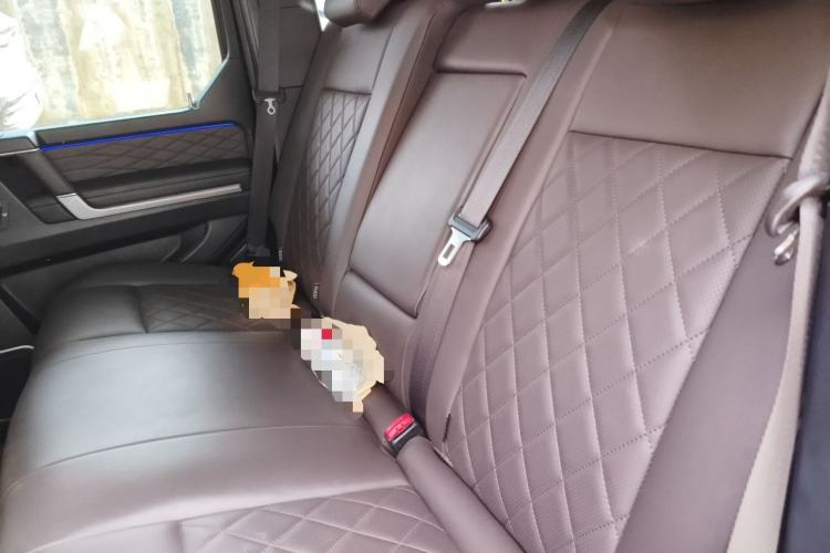 Used BAIC Off-Road BJ80 2020 3.0T Automatic Supreme Edition Left Rear Seat