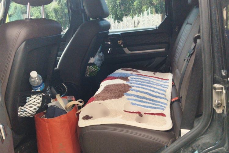Used BAIC Off-Road BJ80 2020 3.0T Automatic Supreme Edition Left Rear Seat