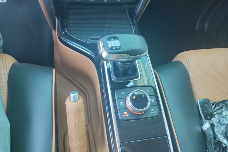 Used BAIC Off-Road BJ80 2020 3.0T Automatic Everest Edition Gear Lever