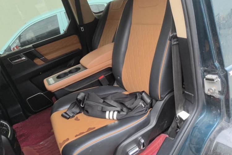 Used BAIC Off-Road BJ80 2020 3.0T Automatic Everest Edition Left Rear Seat