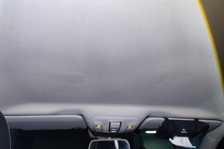 Used BAIC Off-Road BJ90 2020 3.0T Executive Edition Headliner