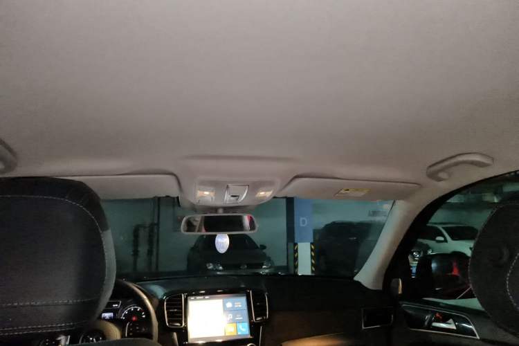 Used BAIC Off-Road BJ90 2020 3.0T Executive Edition Headliner