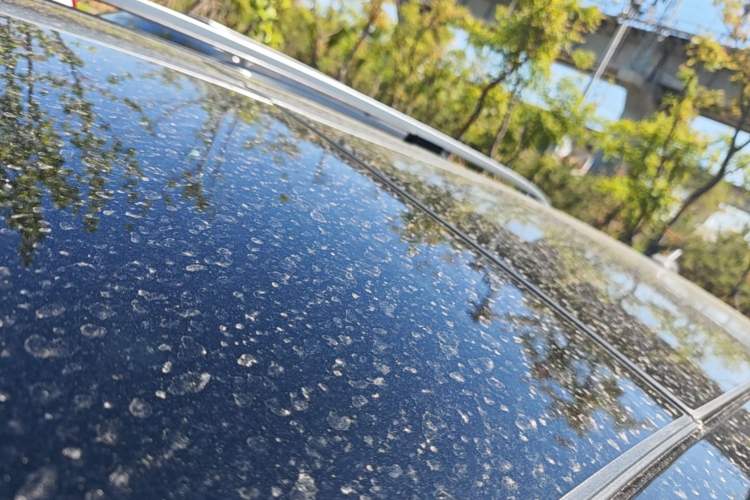 Used BAIC Off-Road BJ90 2020 3.0T Navigator Edition Roof