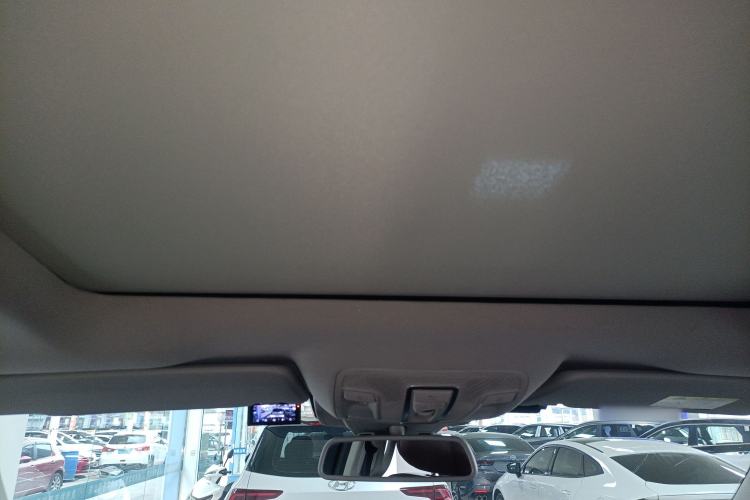 Used BAIC Off-Road BJ90 2021 4.0T Prestige Edition Headliner