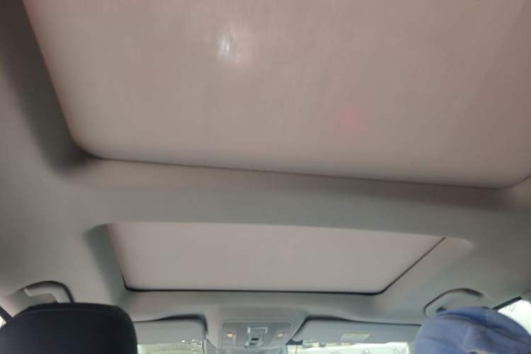 Used BAIC Off-Road BJ90 2021 4.0T Prestige Edition Headliner