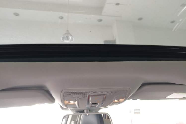 Used BAIC Off-Road BJ90 2021 4.0T Prestige Edition Headliner