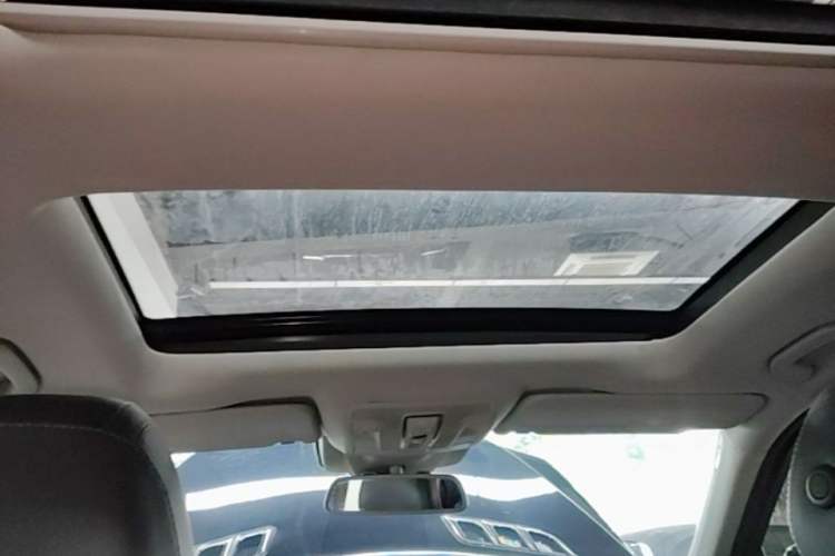 Used BAIC Off-Road BJ90 2021 3.0T Zhenrong Edition Headliner