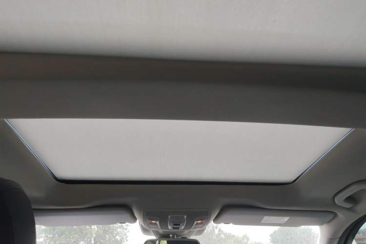 Used BAIC Off-Road BJ90 2021 4.0T Prestige Edition Headliner