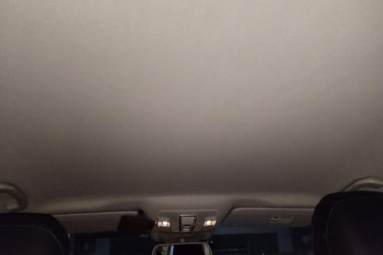 Used BAIC Off-Road BJ90 2021 3.0T Zhenrong Edition Headliner