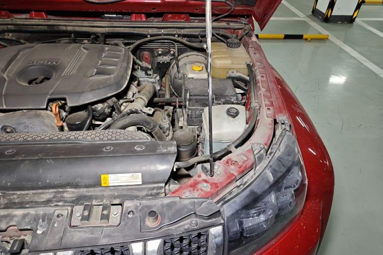 Used BAIC Off-Road F40  Engine Bay Left