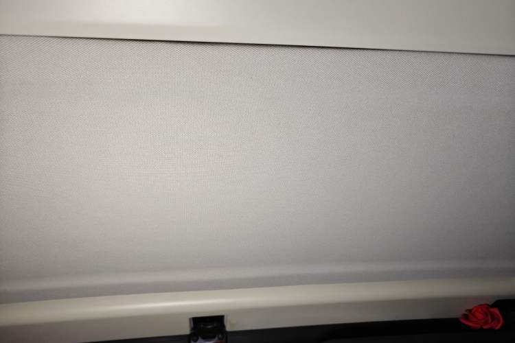 Used BAIC Off-Road F40  Headliner