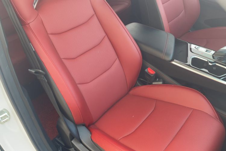 Used BAIC Rubik 2022 1.5T DCT Platinum Edition Right Front Seat