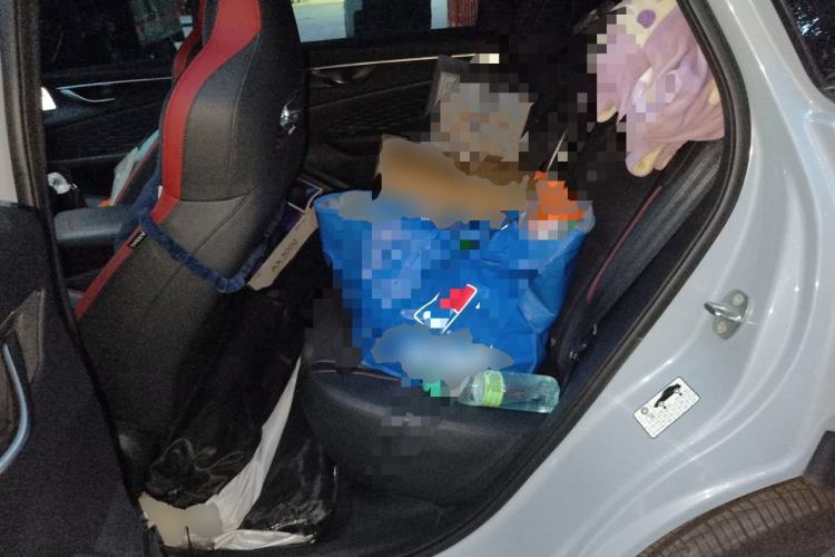 Used BAIC Rubik 2023 1.5T DCT Platinum Edition Left Rear Seat