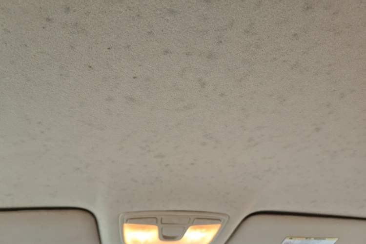 Used BAIC Senova D20 2015 Hatchback 1.5L Manual Lotte Edition Headliner