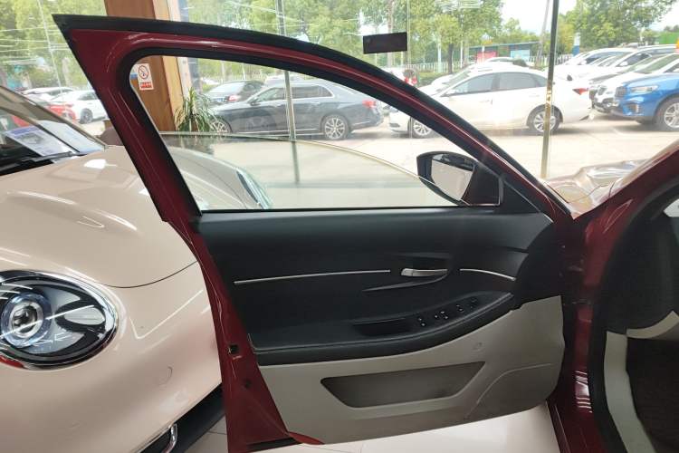 Used BAIC Senova D50 2014 1.5L manual comfort version Left Front Door Interior