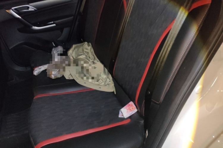 Used BAIC Senova D50 2019 1.5L Manual Luxury Version China V Standard Left Rear Seat