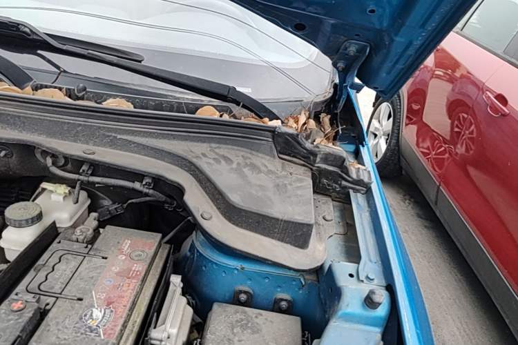 Used BAIC Senova X55 2016 1.5T CVT Elite Edition Engine Bay Left