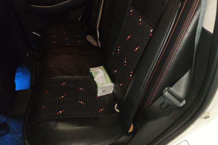 Used BAIC Senova X55  Left Rear Seat