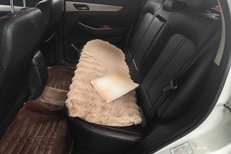 Used BAIC Senova X55 2016 1.5T CVT Luxury Edition Left Rear Seat