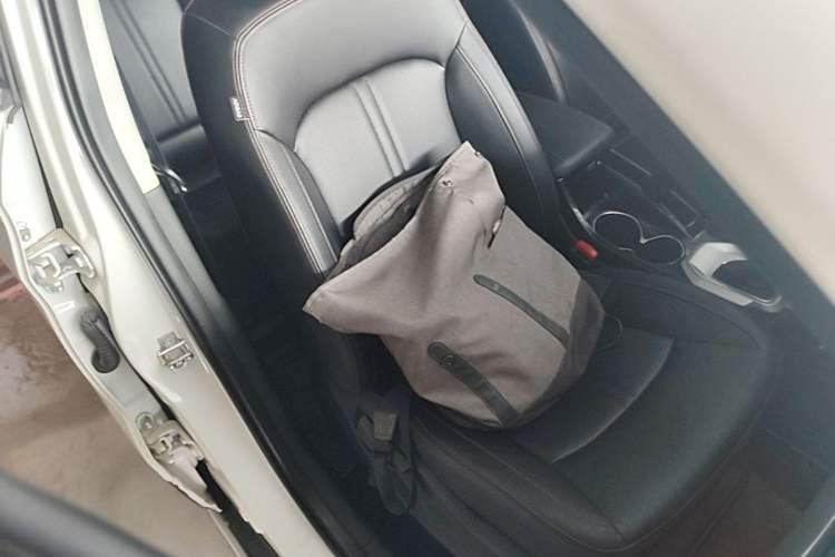 Used BAIC Senova X55 2016 1.5T CVT Elite Edition Right Front Seat