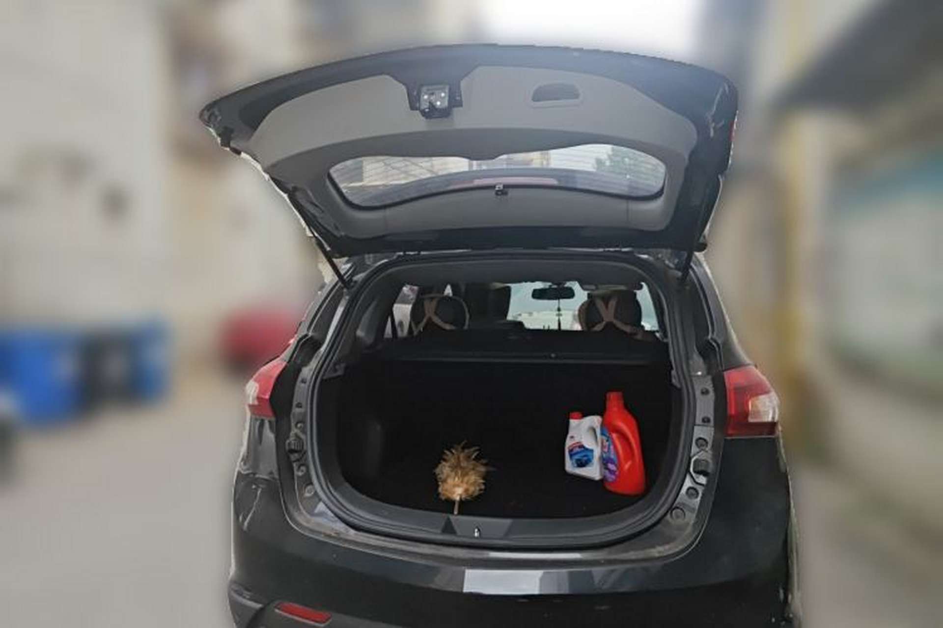 Used BAIC Senova X65 2015 2.0T Manual Elite Edition Trunk