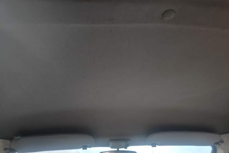 Used BAIC Weiwang 205 2013 1.0L Joy version Headliner