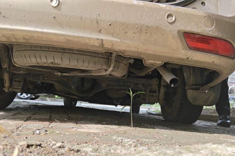 Used BAIC Weiwang M20 2014 1.5L Comfort Version BJ415B Chassis Rear