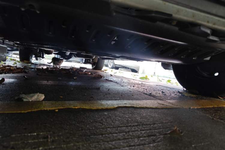 Used BAIC Weiwang M20 2015 1.2L economy version A122 Chassis Front