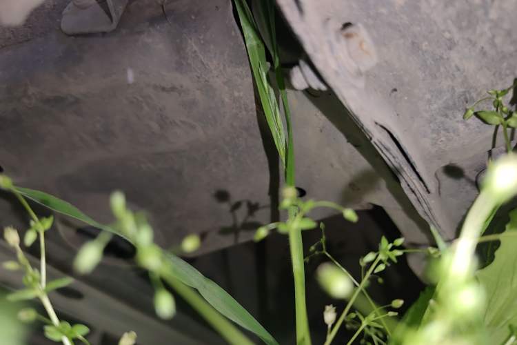 Used BAIC Weiwang M50F 2017 1.3T Standard Model Chassis Front Left