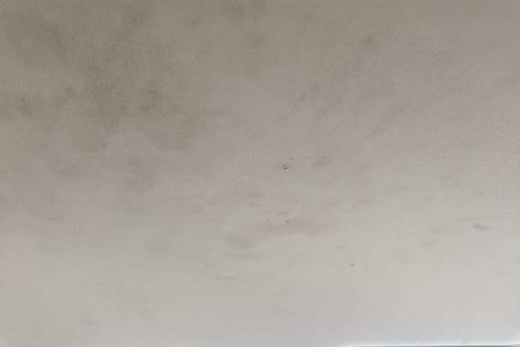Used BAIC Weiwang M50F 2017 1.5L Standard Model Headliner