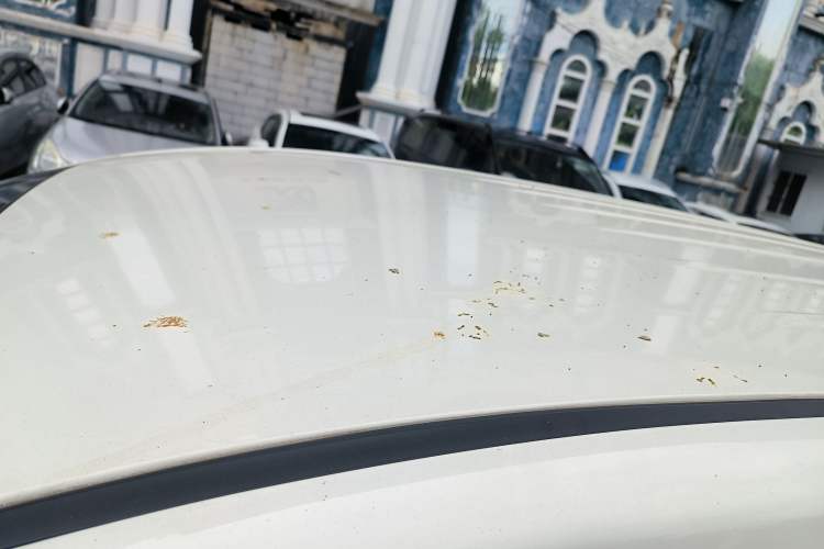 Used BAIC Weiwang M50F 2017 1.5L Standard Model Roof