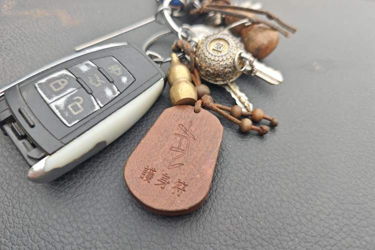 Used BAIC Weiwang S50 2016 1.5T Manual Joyful Premium Edition Vehicle Key