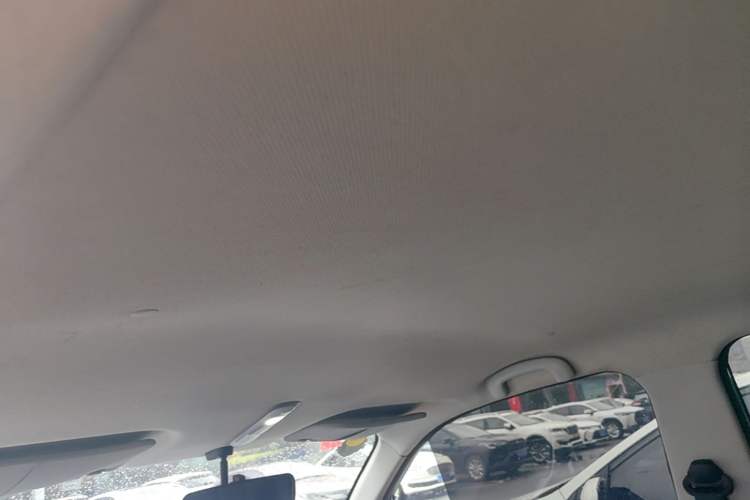 Used Baizhi New Energy Daxiong 2022 10.36kWh Le Xiong Headliner